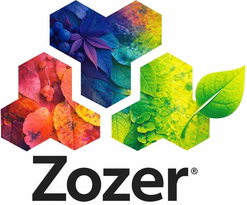 Main logo zozer